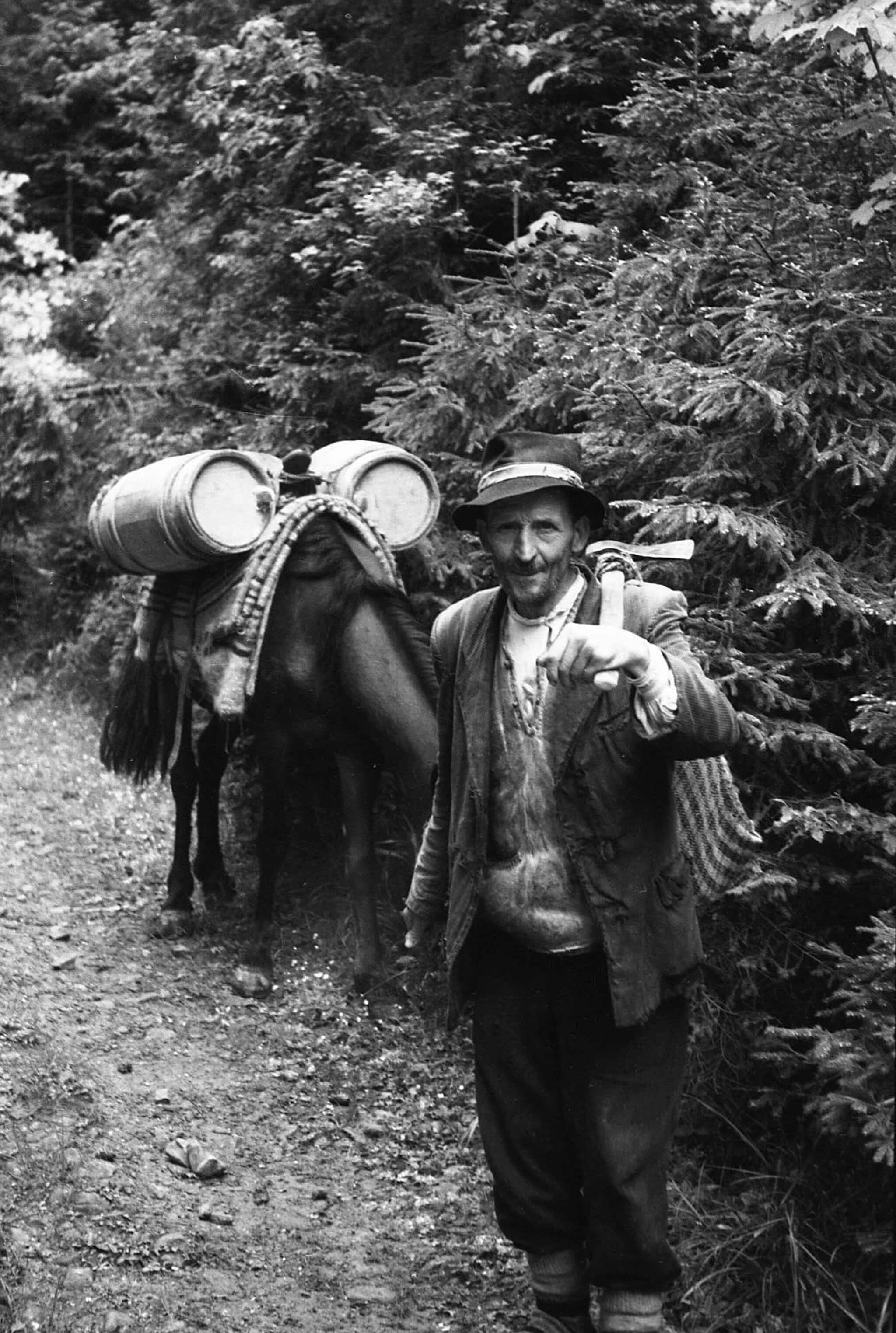 Ішов гуцул з полонини...